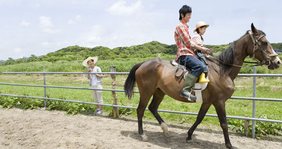 Horse Riding