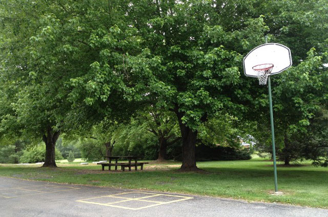 Updated Horseshoe Pits and Picnic Table